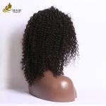 Front Human Hair Lace Wig Straight 100% Virgin Peruvian