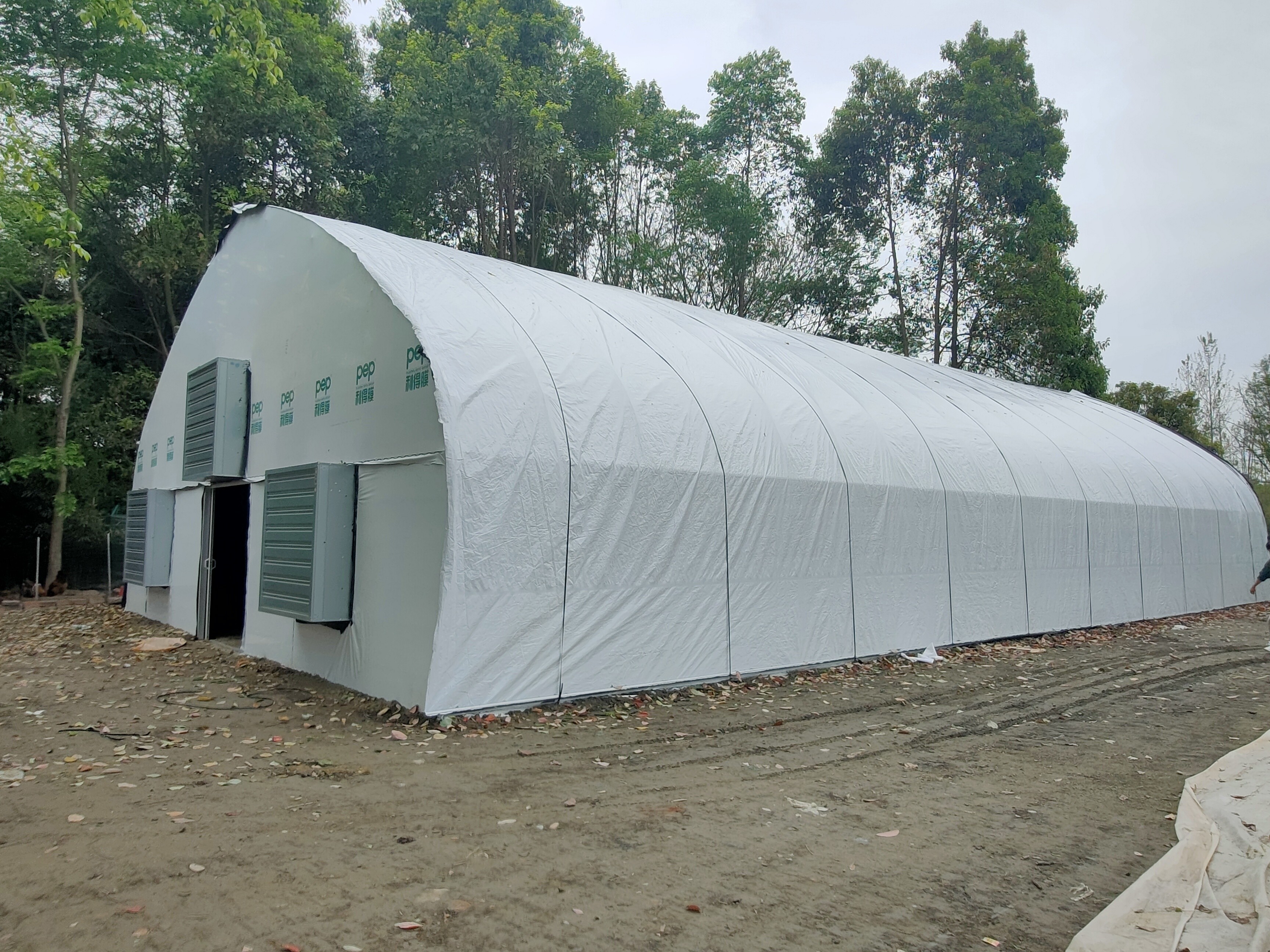 Poly Tunnel Plastic UV Resistant Film Tomato Herb Hydroponic Single Greenhouse