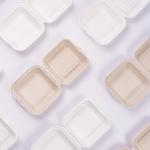 Customized Sugarcane Bagasse Burger Box Biodegradable Food Container Different