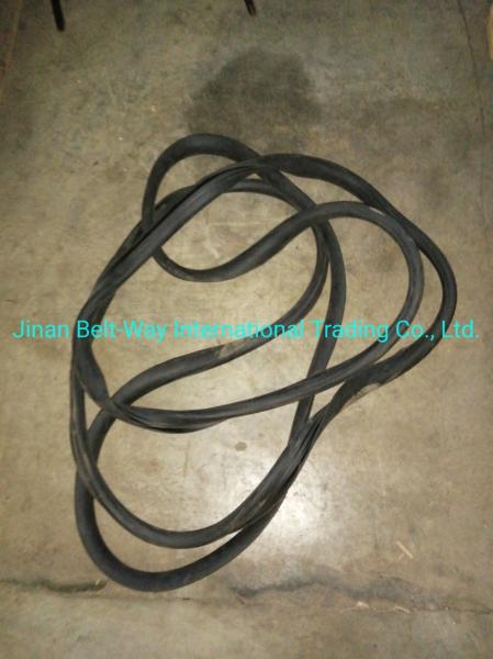 Sinotruk HOWO Truck Parts Windshield Sealing Rubber Wg1642710002 Standard