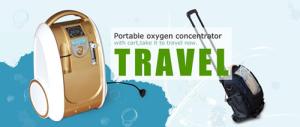 Quality 2015 the best selling portable oxygen concentrator,with battery and trolley bag wholesale