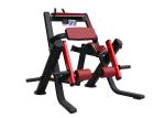 Impotred Bearings Plate Loaded Gym Machines , Plate Loaded Leg Press Machine