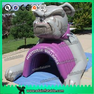 Quality Inflatable Bulldog Animal Event Advertising Inflatable Tunnel wholesale