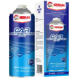 Quality Sterilized Car Air Conditioner Cleaner Antibacterial Agent Odor Remover 250ml wholesale
