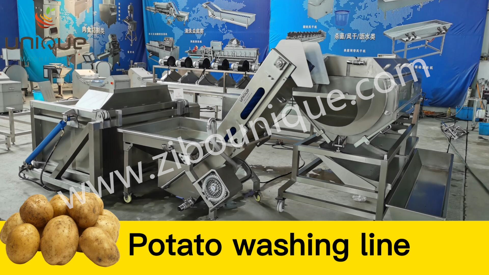 1000-1500 kg/h Capacity Root Vegetable Cutting Machine for Large Scale Production