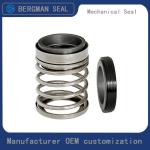 BERGMAN TYPE/T21S Inch Graphite Silicon Carbide Tungsten Carbide Nitrile Viton