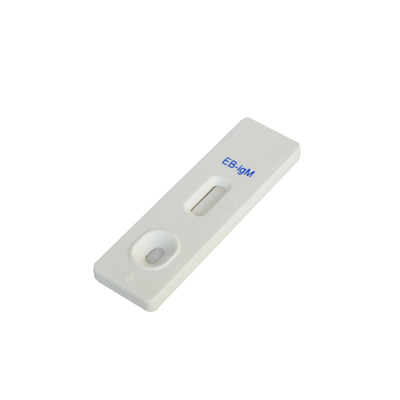 Epstein Barr EB IgG/IgM Rapid Cassette Test Detection Expiration Date 24 Mouths