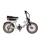 Disc Brake 48v1000w Electric Bicycle City Design Electric Fat Bike for Adults