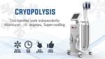 Highly Safety Freeze Fat Machine , Fat Removal Slim Freeze Fat Freeze Slimming