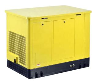 Quality 20KW LPG Natural Gas Gasoline Generator with Electric Starting and 380V Rated Voltage wholesale