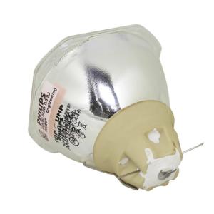Quality 215Watt 54X54mm Epson Projector Bulbs ELPLP90 for Business wholesale