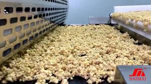 Quality Continuous 1000 Kg/H 220V Potato Chip Granola Production Line wholesale