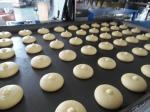 400KG Rotary Cake Wire Cut Cookie Depositor Muffin Machine