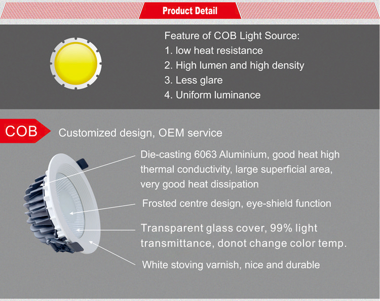 20W LED COB downlight supplier in China