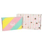 Custom Plated Lvory Board Box Folding Airplane Paper Box for Thank You Gift