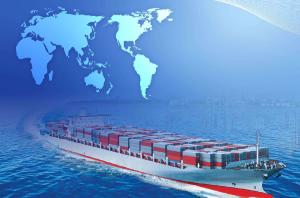 Quality DDU FCL Sea Shipping Agent wholesale