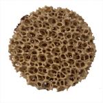 Metal Filtration Ceramic Foam Filters for High Thermal Conductivity in Latest