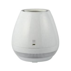 Quality Portable Hotel 2 In1 Air Seal Air Humidifier Customized Colour wholesale