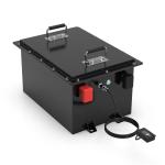Customized Lithium Ion LiFePO4 Battery Pack 100AH Golf Cart AGV Cleaner Truck
