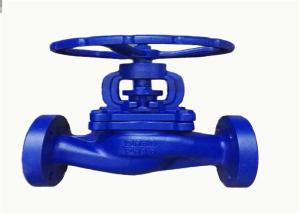 Quality Cast Iron Water Flanged Globe Valve DIN GG25 PN16 Stainless Steel wholesale