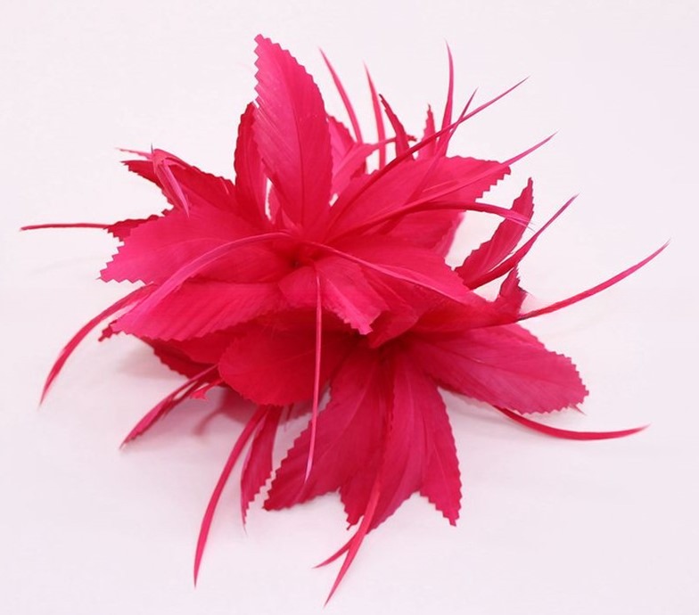 OEM Goose Feather Flowers With Biot , Dyed Pattern Feathers Millinery Supplies