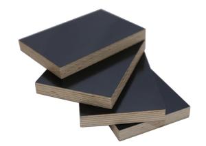 Quality Durable Laminate Faced Birch Plywood , Black Film Faced Plywood Sheets wholesale