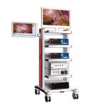 Intelligent digital full HD ENT endoscope camera medical with good price
