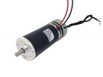 52ZYT01A Permanent Magnet Brush DC Motor Dual Shaft Option Gr53x25 2000RPM