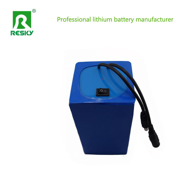 48V 20ah 1000W Lithium Battery Pack For Electric Vehicle