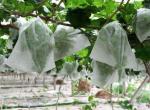 PP Non Woven Fabric 350g Agricultural Geotextile Cloth 10-320cm