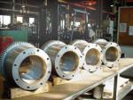 Forging Custom Flange Pipe Carbon Steel Ring Flange Painting