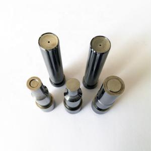 Quality High Polished HWS Punch Die Mold wholesale