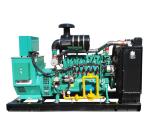 Bio Gas Generator Price Methane Gas Generator