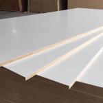 RAL Antimicrobial Powder Coating Paint for Metal and MDF Furniture