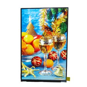 Quality BOE 10.1 Inch 800*1280 Laptop LCD Display MIPI Industrial LED Screen wholesale