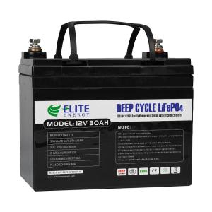 Quality Lithium 12V 384Wh 10mΩ Portable Li Ion Battery Optional Bluetooth wholesale