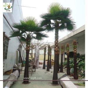 Quality UVG 22ft tall fake palm tree with fan leaves in dubai for park landscaping outdoor use wholesale