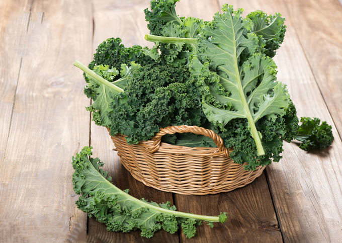Juice Kale Extract Powder