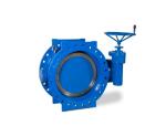 Stainless Steel Wafer Butterfly Valve 304 DN65 PN10 Double Flanged Butterfly