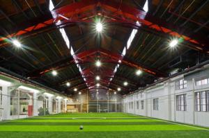 Quality Q355 H Section Commercial Steel Building Prefabricated Sports Building Galvanised wholesale