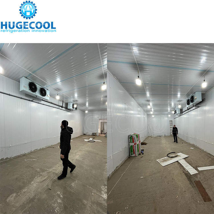 Walk in Freezer Room Blast Freezer for Beef