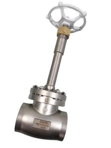 Quality PN40 Stainless Steel SS Globe Valve 316 Gas Cryogenic wholesale
