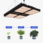 1000W Indoor House Plant Lights 4x4 Grow Light