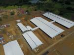 Galvanized Poultry Light Steel Frame Construction Bolts Connection Steel Chicken