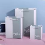 Custom Boutique Bags For Business With Logo Color Bag Large Paper Shopping Bags