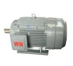 Alternating Current 450V Three Phase Electric Motor