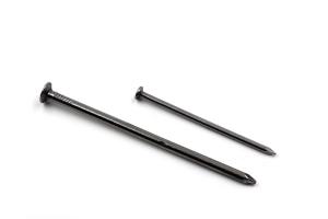 Quality Common Nail wholesale