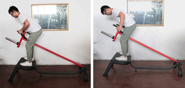 Indoor Life Fitness Strength Gym Equipments / T Bar Row Machine