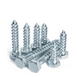 Hex Head Wood Screw Din571 Lag Bolt Coach Screw for Steel/SUS304 within
