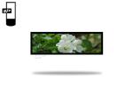 36.6 Inch Ultra Wide Stretched Shelf LCD Display
